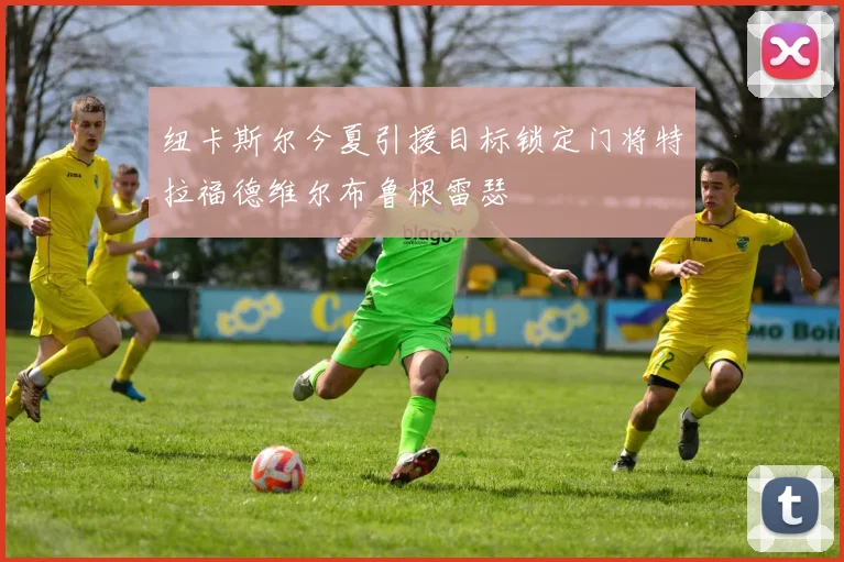 纽卡斯尔今夏引援目标锁定门将特拉福德维尔布鲁根雷瑟