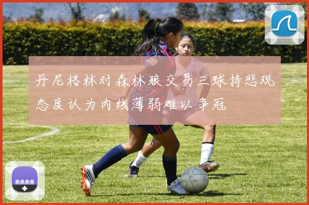丹尼格林对森林狼交易三球持悲观态度认为内线薄弱难以争冠